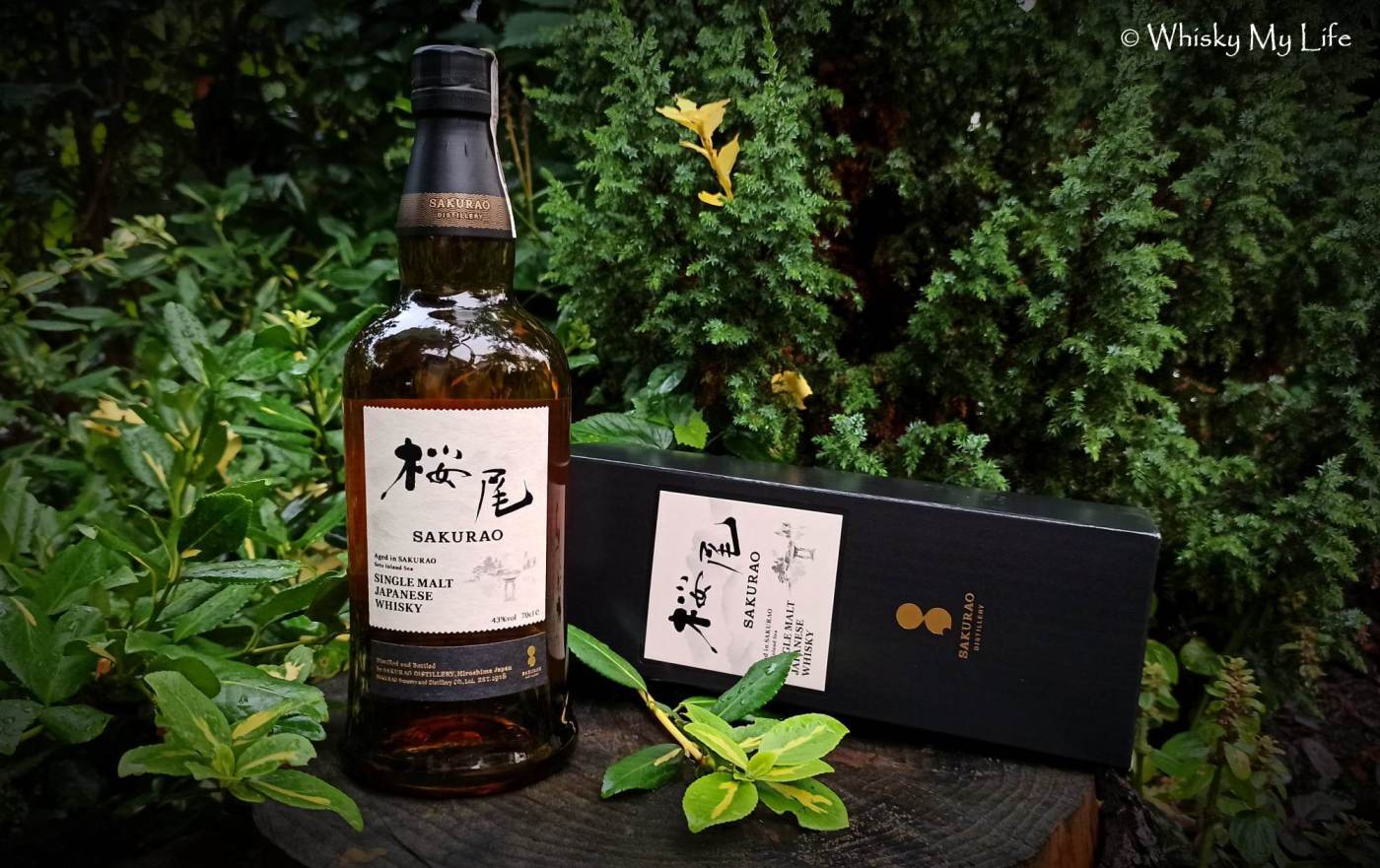 Sakurao Single Malt Japanese Whisky vol. 43% – Life Whisky – My
